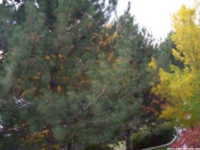 1216 Waterside Cv, Midvale, UT 84047 — photo 7