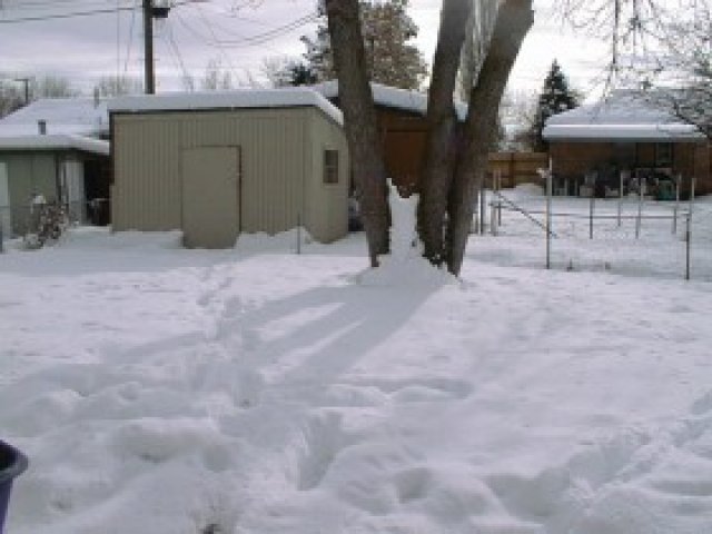 284 Glen Ave, Layton, UT 84041 — photo 6