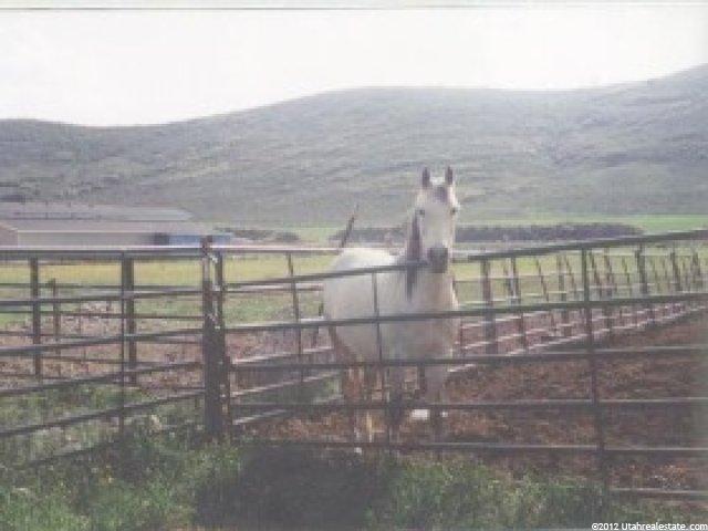 1560 Hallam Rd, Kamas, UT 84036 — photo 8