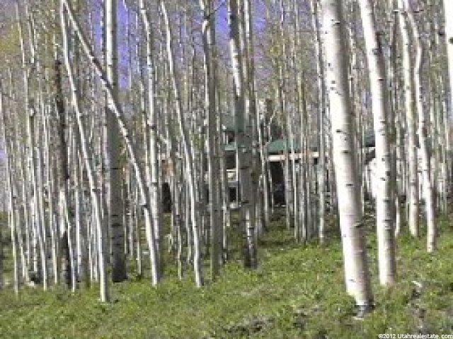 1939 S Buck Way, Timber Lakes, UT 84032 — photo 3