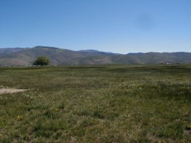 1669 Hallam Rd #5, Kamas, UT 84036 — photo 2