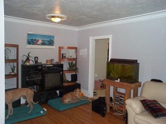 265 E 300 S, Bountiful, UT 84010 — photo 2