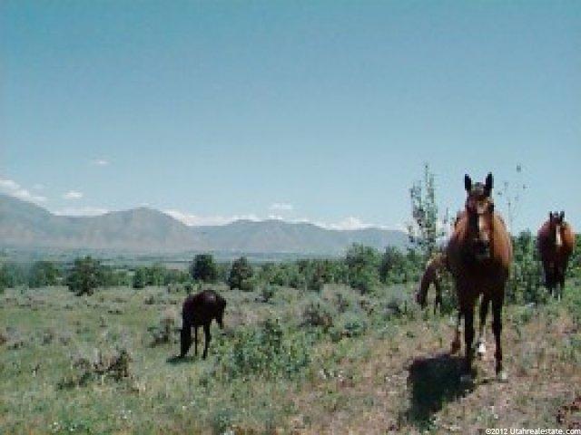 5400 W 3400 S, Wellsville, UT 84339 — photo 5