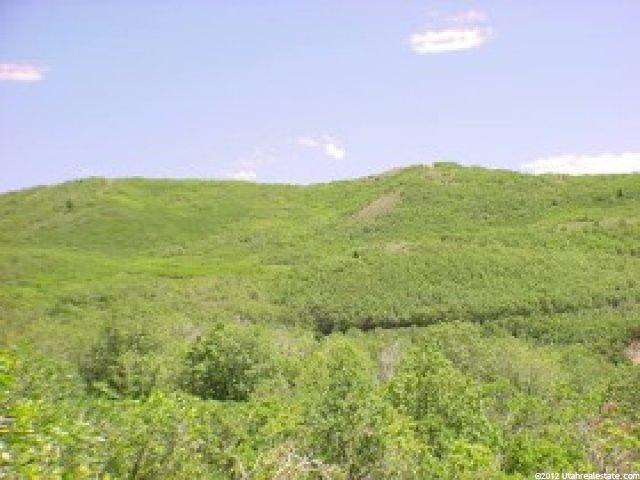 2901 E 14351 S, Draper, UT 84020 — photo 2