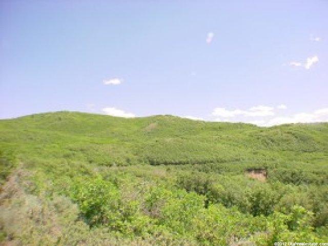 2901 E 14351 S, Draper, UT 84020 — photo 5