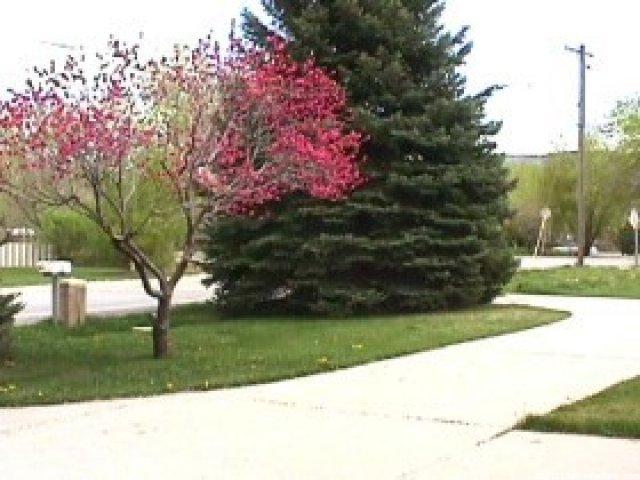 12486 S 700 E, Draper, UT 84020 — photo 3