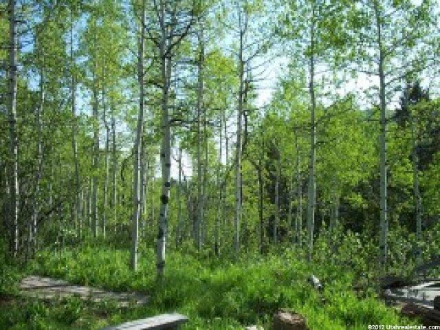 110 Hidden, Oakley, UT 84055 — photo 6