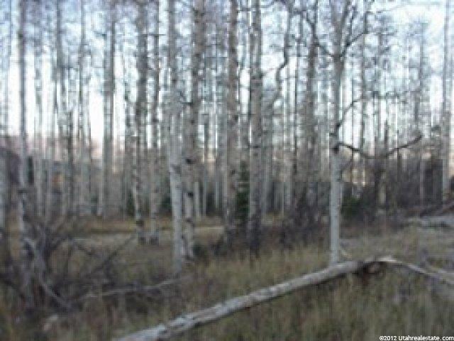 2341 Red Pine Rd #16, Park City, UT 84098 — photo 3