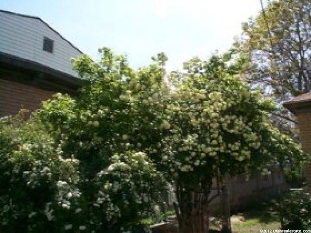 548 E 8000 S, Sandy, UT 84070 — photo 8