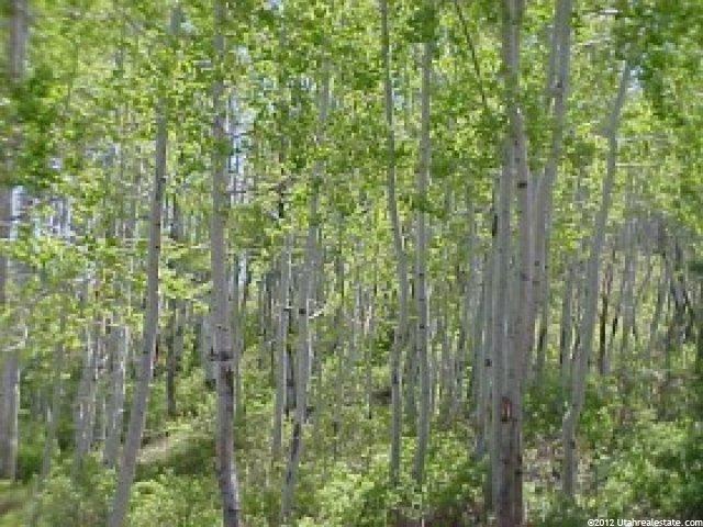 1154 Witts Cir, Heber City, UT 84032 — photo 3