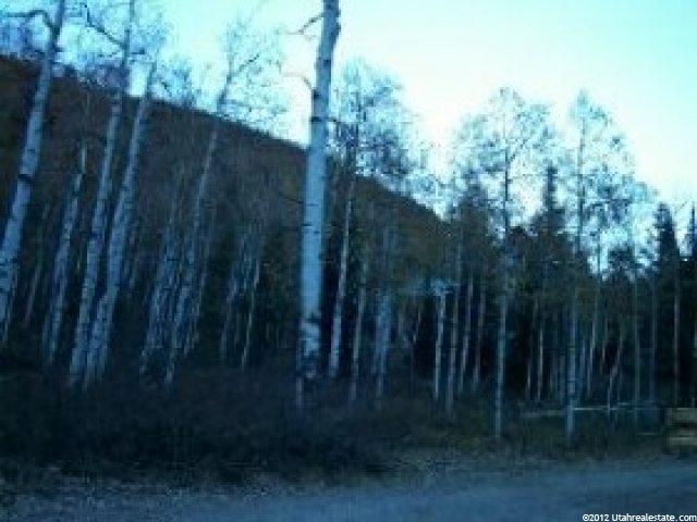 732 Pine Mtn, Oakley, UT 84055 — photo 7