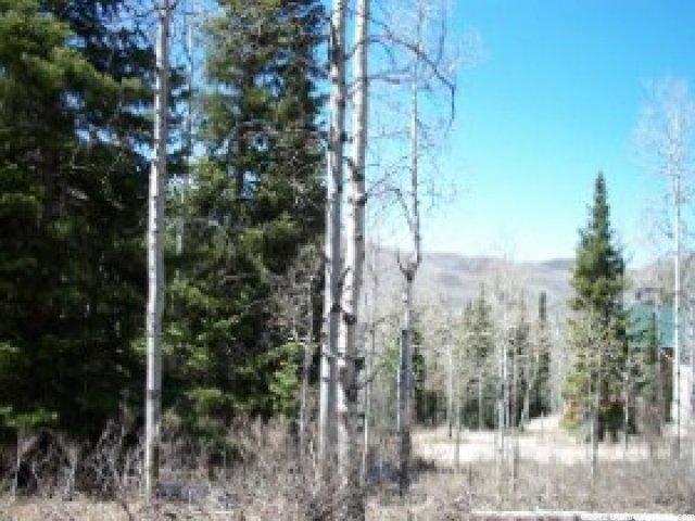 732 Pine Mtn, Oakley, UT 84055 — photo 3
