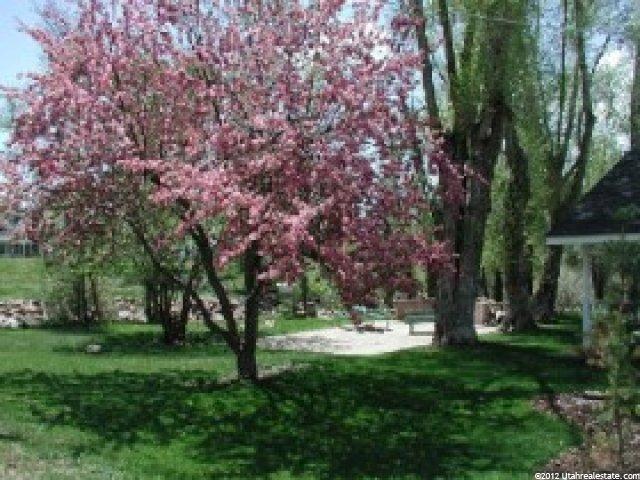 4431 N River Rd, Oakley, UT 84055 — photo 4