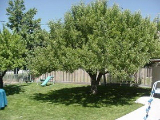736 N Liberty Ave, Ogden, UT 84404 — photo 2