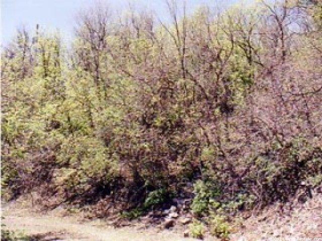 79 Oak Hvn #79, Midway, UT 84049 — photo 3