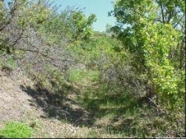 167 Canyon Dr #167, Midway, UT 84049 — photo 3