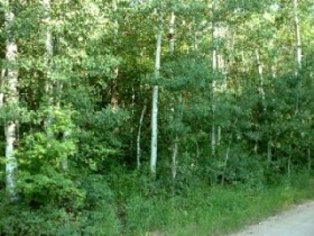 123 River Rd #123, Oakley, UT 84055 — photo 2