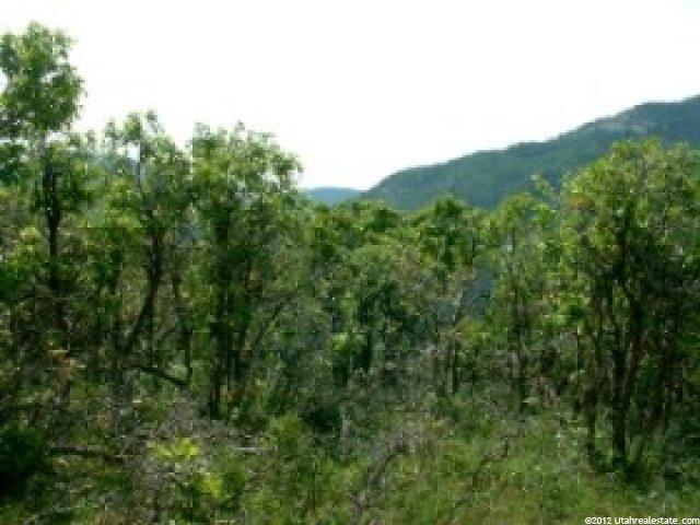 58 Sunrise Rdg #58, Oakley, UT 84055 — photo 2