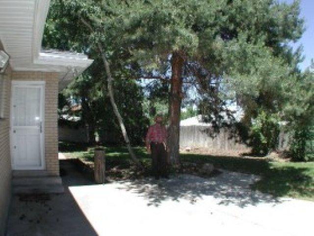 1883 Terrace Dr, Sandy, UT 84093 — photo 4