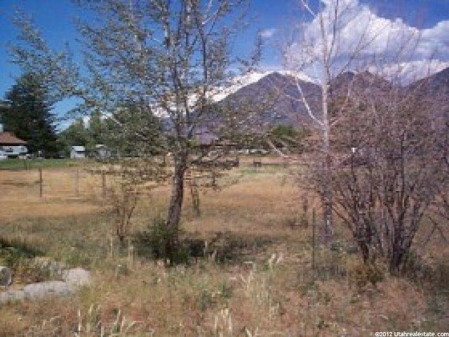 65 E 100 S, Mona, UT 84645 — photo 3