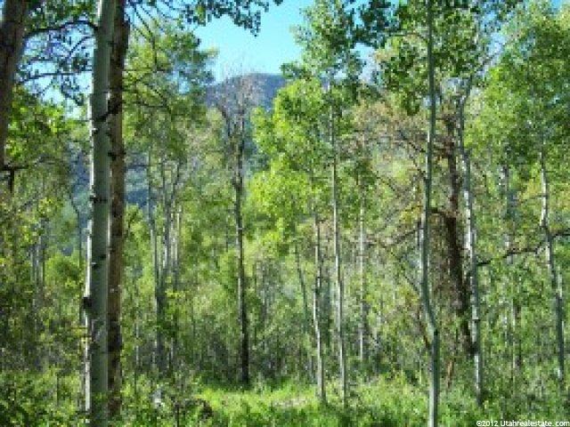 126 Aspen Mtn #126, Oakley, UT 84055 — photo 2