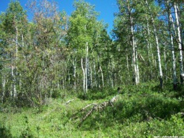 126 Aspen Mtn #126, Oakley, UT 84055 — photo 3