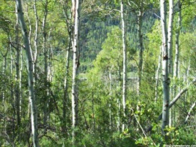 126 Aspen Mtn #126, Oakley, UT 84055 — photo 4
