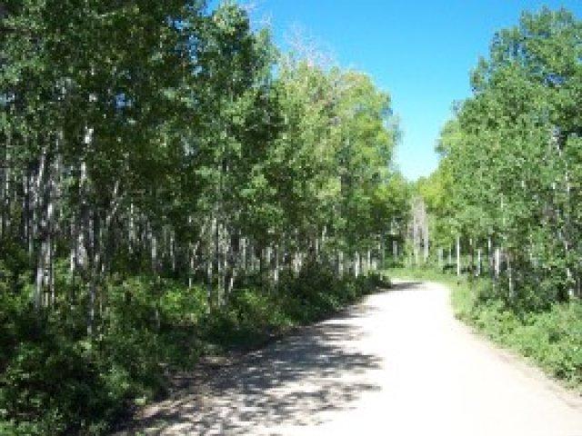 126 Aspen Mtn #126, Oakley, UT 84055 — photo 5
