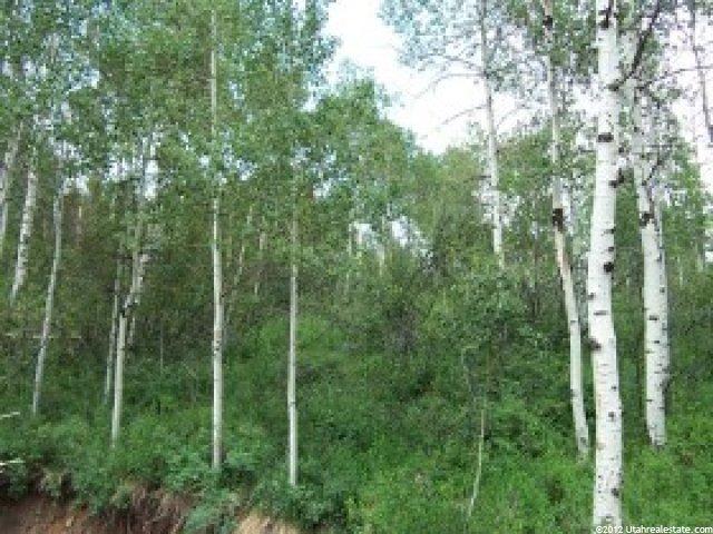 110 Creek Rd, Oakley, UT 84055 — photo 2