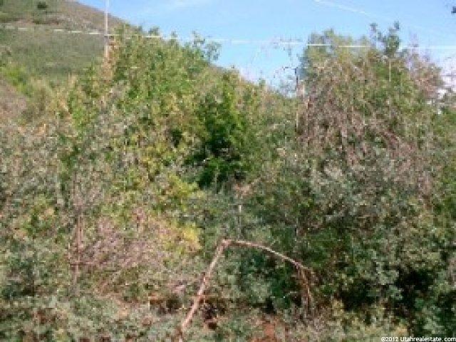1708 E Weber Wild Rd #5, Oakley, UT 84055 — photo 2