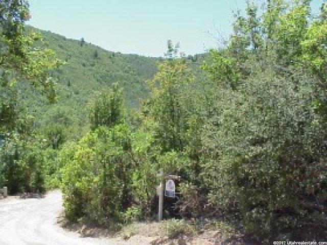 118 Maple Ln #118, Midway, UT 84049 — photo 2