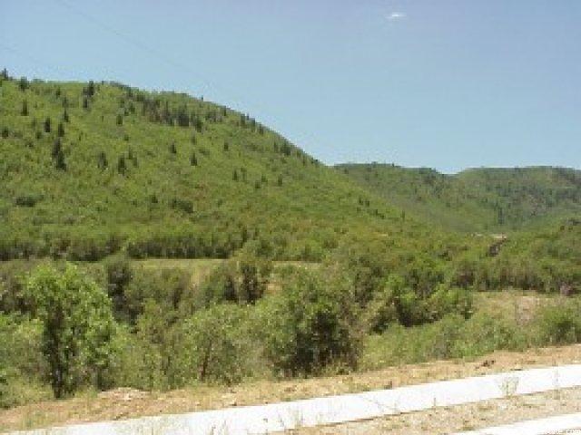 118 Maple Ln #118, Midway, UT 84049 — photo 4