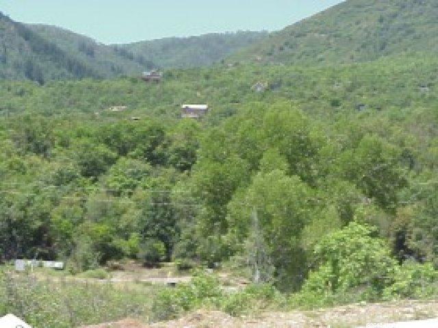 118 Maple Ln #118, Midway, UT 84049 — photo 6