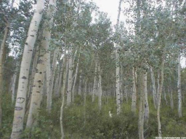 1869 Blue Spruce Dr, Timber Lakes, UT 84032 — photo 3