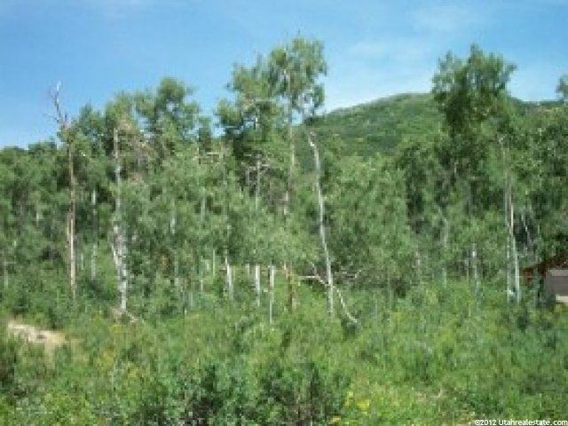 26 Little Dipper E, Oakley, UT 84055 — photo 3