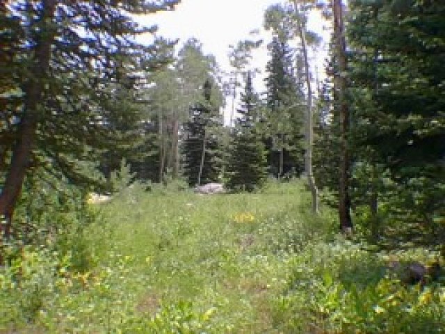 147 Brighton Ests, Midway, UT 84049 — photo 3