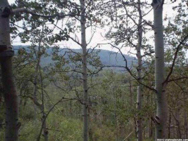 555 Greenbriar Rd, Wasatch County, UT 84032 — photo 3