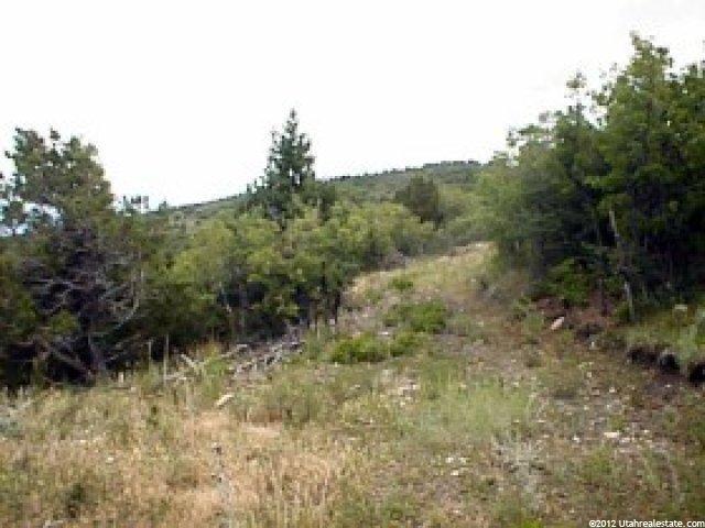 24 W Indian Rdg #24, Fairview, UT 84629 — photo 3