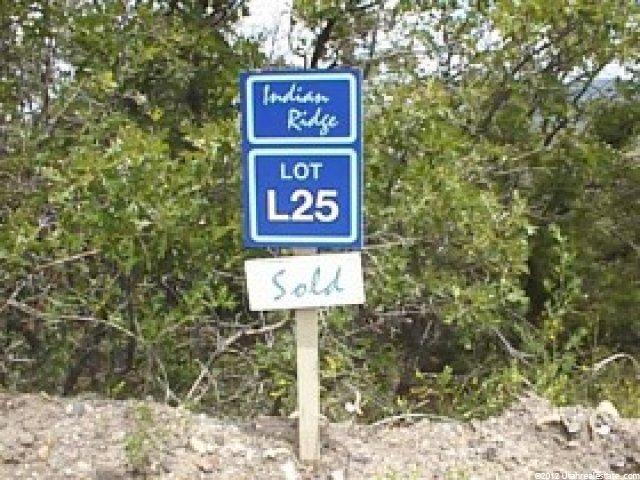 24 W Indian Rdg #24, Fairview, UT 84629 — photo 5