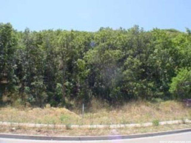 4031 Mountain Oaks #308, Bountiful, UT 84010 — photo 3