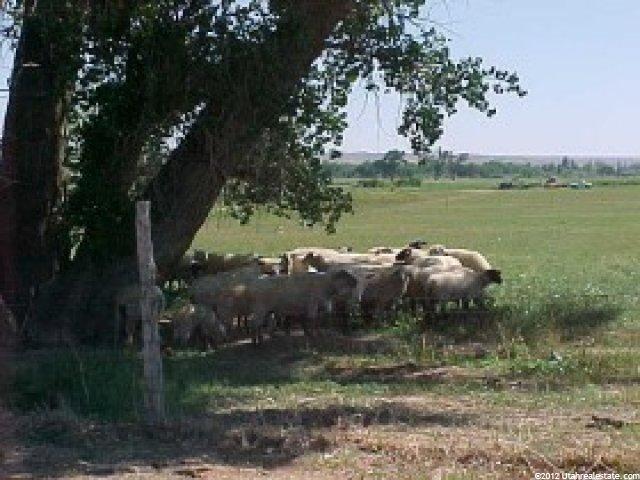 2550 S 9500 E, Jensen, UT 84035 — photo 8