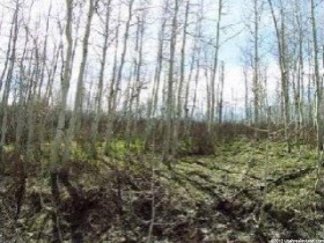 140 A Arapahoe Dr, Summit County, UT 84098 — photo 4