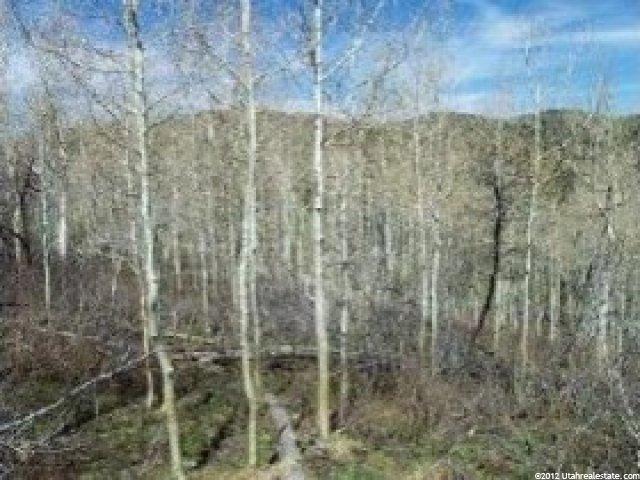 140 A Arapahoe Dr, Summit County, UT 84098 — photo 5