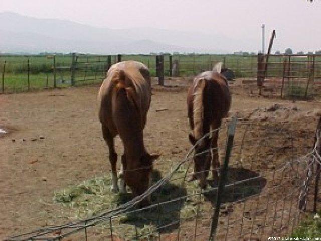 415 W Center St, Lewiston, UT 84320 — photo 2