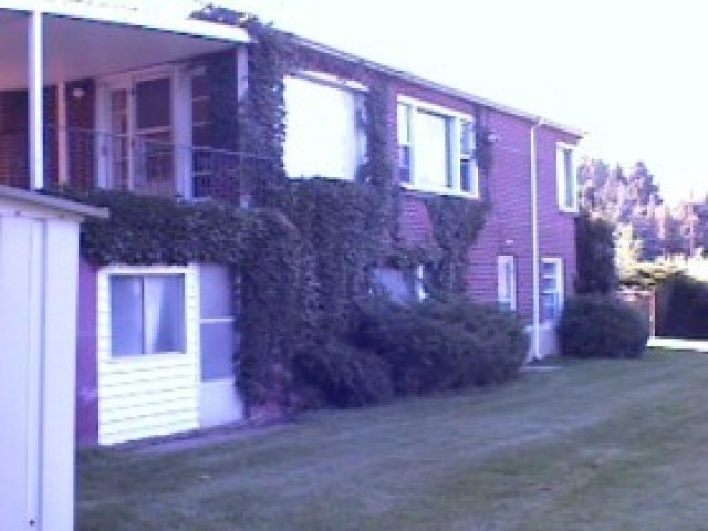 236 S 1300 E, Bountiful, UT 84010 — photo 2