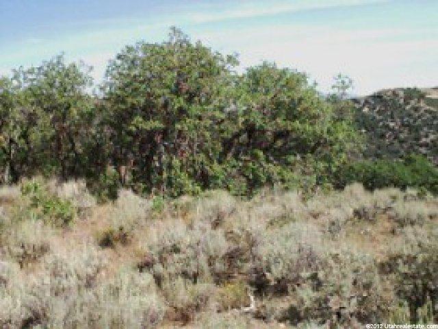 5000 E 32700 N #60, Fairview, UT 84629 — photo 2