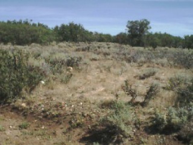 5000 E 32700 N #60, Fairview, UT 84629 — photo 4