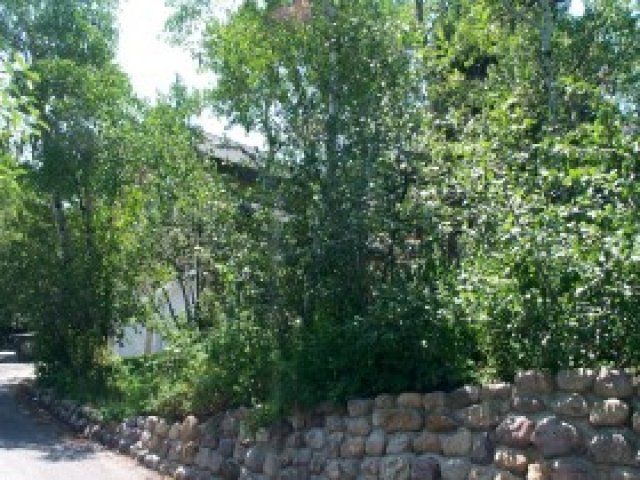 7593 Stagecoach Dr, Park City, UT 84098 — photo 7