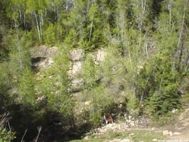 18000 S 14250 E, Mt Pleasant, UT 84647 — photo 2