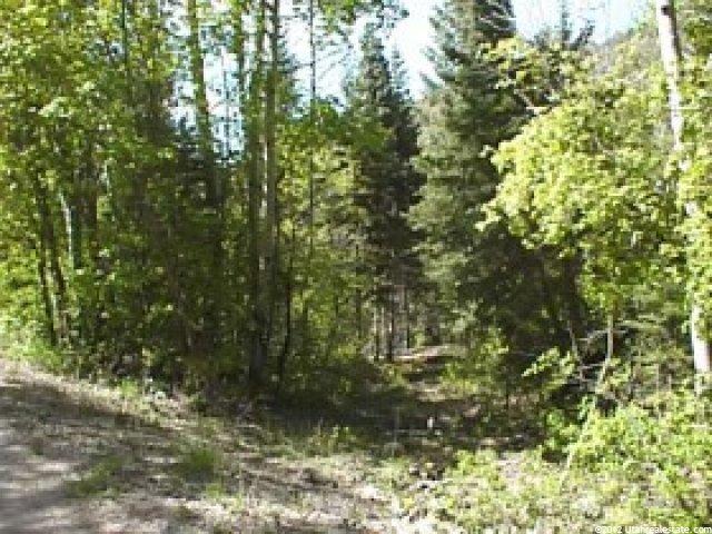 18000 S 14270 E, Mt Pleasant, UT 84647 — photo 3